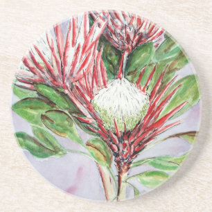 Proteas Coaster