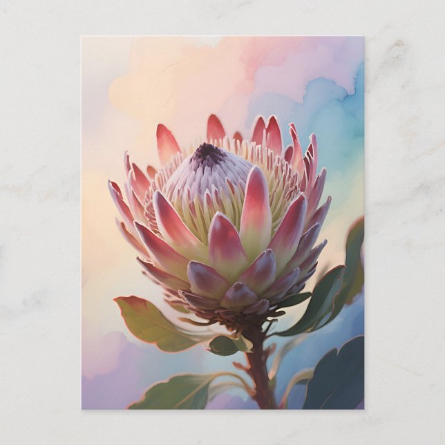 Proteas Flower Watercolor Dream Postcard (Front)