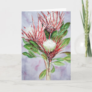 Proteas Holiday Card
