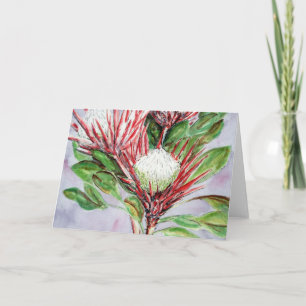 Proteas Holiday Card