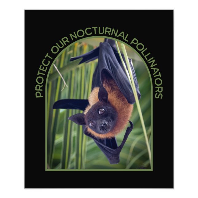 Protect Bats Photo Enlargement Print (Front)