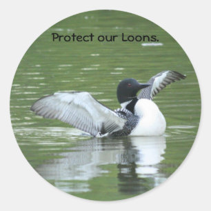 Protect our Loon Stickers