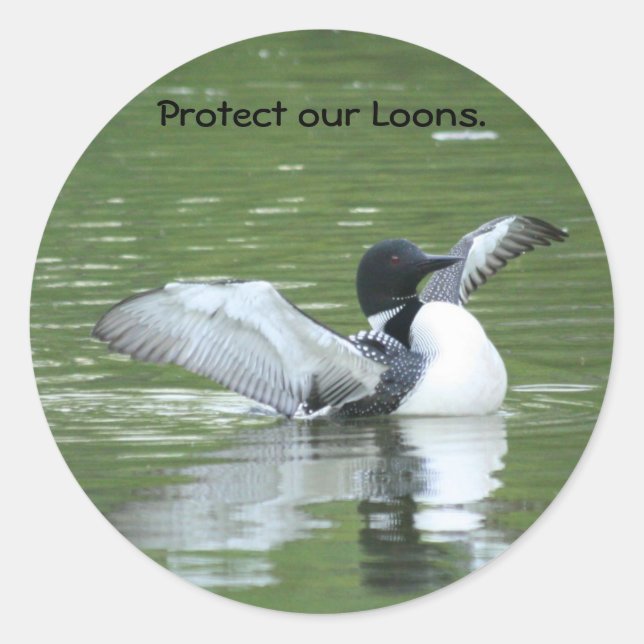 Protect our Loon Stickers (Front)