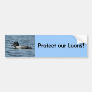 Protect our Loons Bumper Sticker