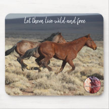 Protect Our Wild Horses