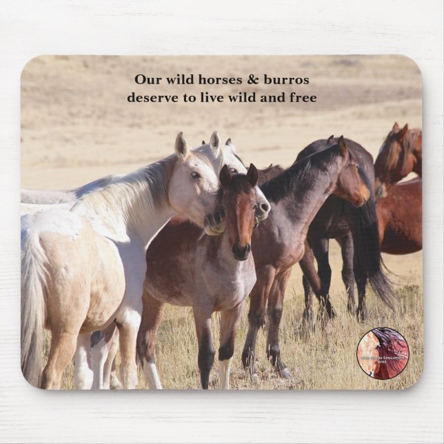 Protect Our Wild Horses Mouse Pad (Front)