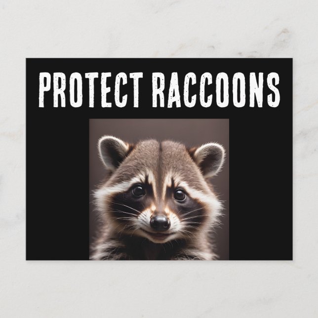 PROTECT RACCOONS RACCOON POSTCARDS (Front)