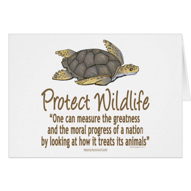 Protect Sea Turtles (Front Horizontal)