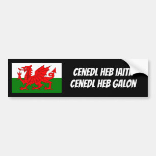 Protect The Welsh Language Bumper Sticker