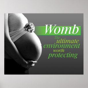 Protect the Womb Poster