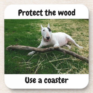 Protect the Wood Coaster