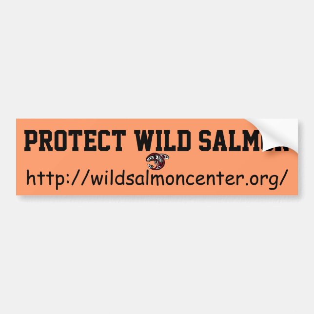 Protect Wild Salmon bumper sticker (Front)