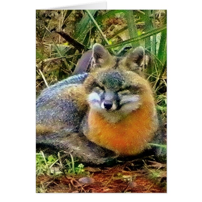 PROTECT WILDLIFE (Front)