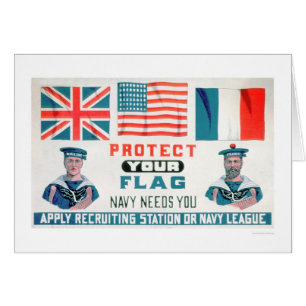 Protect Your Flag - Navy Needs You (US02143)