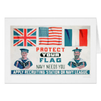Protect Your Flag - Navy Needs You (US02143)