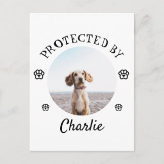 Protected By Dog Photo Paw Print Design Holiday Postcard