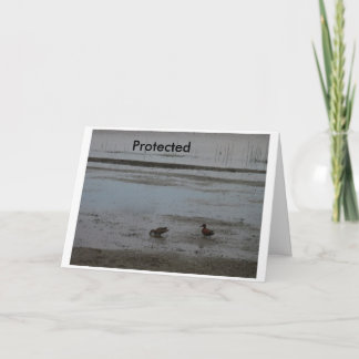 Protected Card