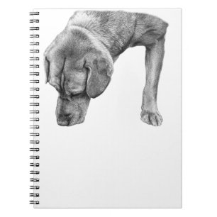 "protective phone case" "minimal dog design" "clea notebook