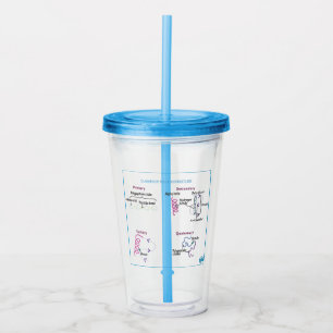 Protein Classes Tumbler with Lid + Straw
