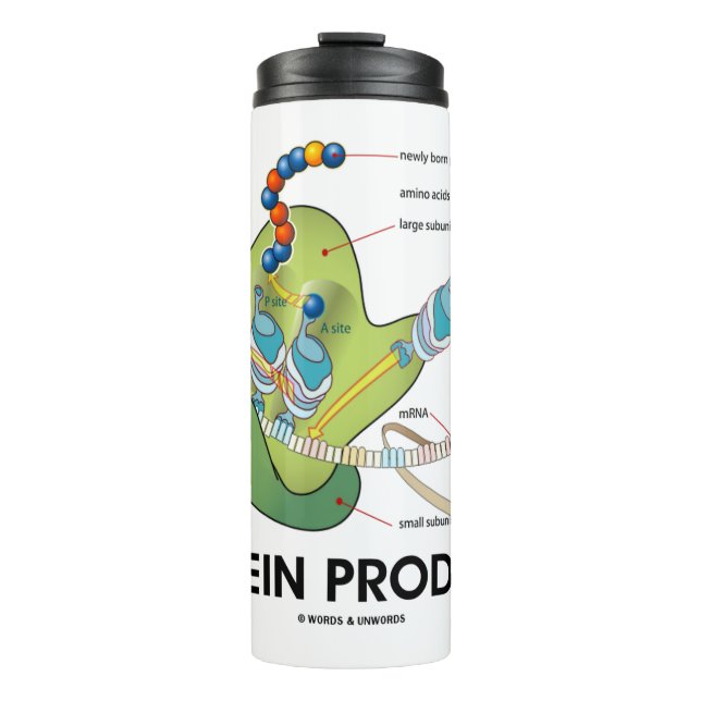 Protein Producer Biology Protein Synthesis Humour Thermal Tumbler (Front)