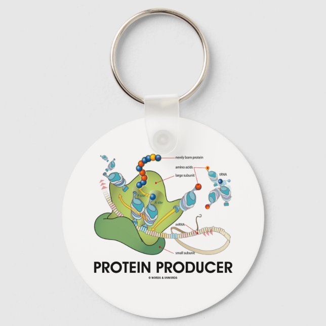 Protein Producer (Biology Protein Synthesis) Key Ring (Front)