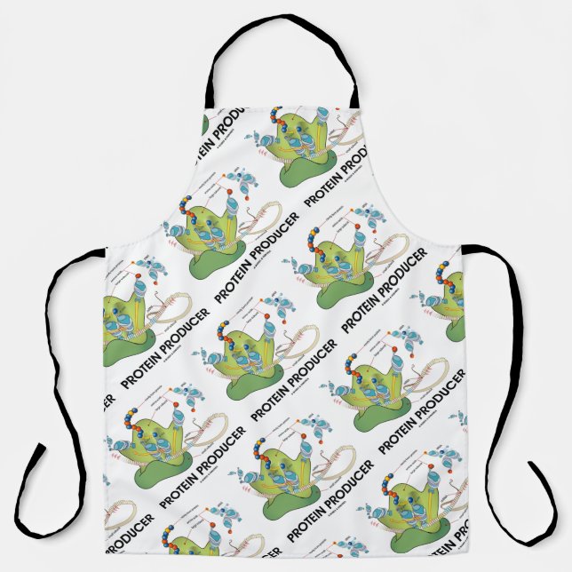 Protein Producer mRNA tRNA Protein Synthesis Apron (Front)