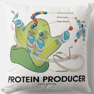 Protein Producer mRNA tRNA Protein Synthesis Cushion