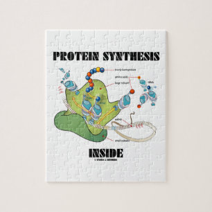 Protein Synthesis Inside (mRNA tRNA) Jigsaw Puzzle