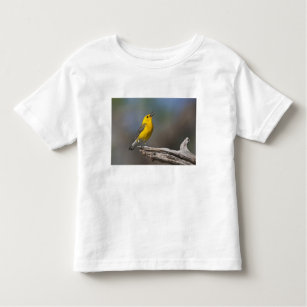 Prothonotary Warbler adult male in spring, Texas Toddler T-Shirt