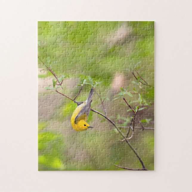 Prothonotary Warbler Jigsaw Puzzle (Vertical)