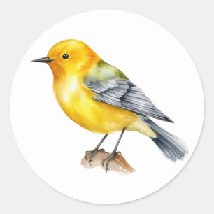 Prothonotary Warbler Songbird Stickers