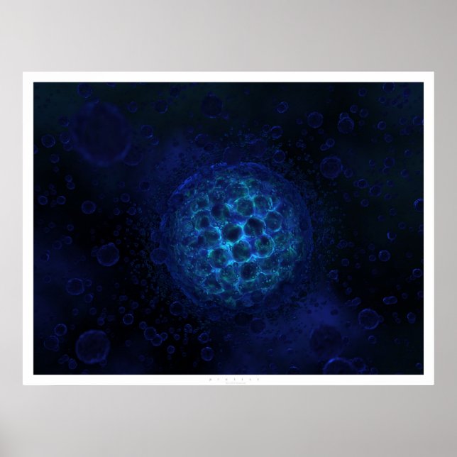 Protist Poster (Front)