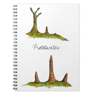 Prototaxites Notebook