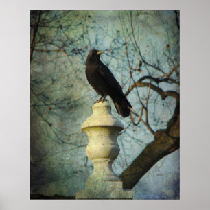 Proud American Crow Poster