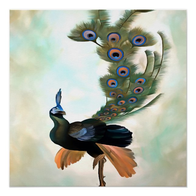 Proud As A Peacock Colourful Courtship Display Poster (Front)