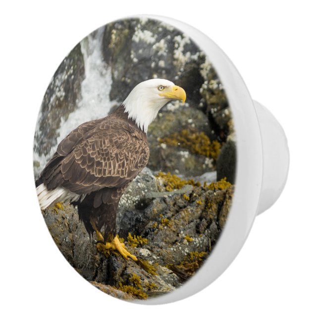 Proud Bald Eagle Ceramic Knob (Right)