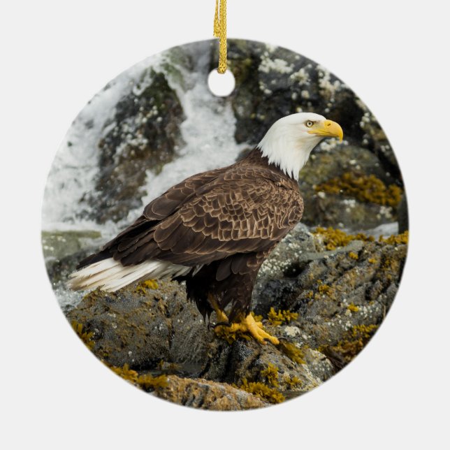 Proud Bald Eagle Ceramic Ornament (Back)