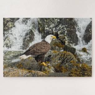 Proud Bald Eagle Jigsaw Puzzle