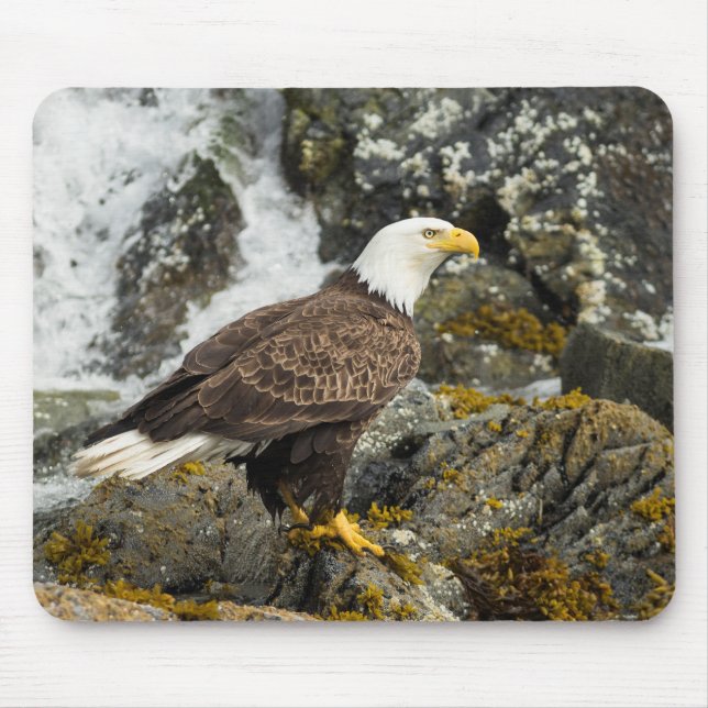 Proud Bald Eagle Mouse Pad (Front)