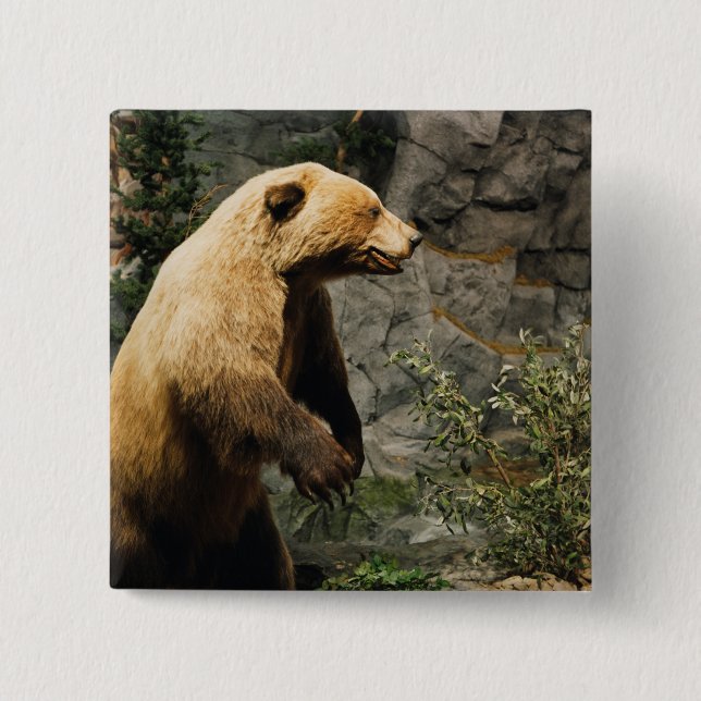 Proud Bear 15 Cm Square Badge (Front)