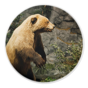 Proud Bear Ceramic Knob