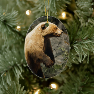 Proud Bear Ceramic Ornament