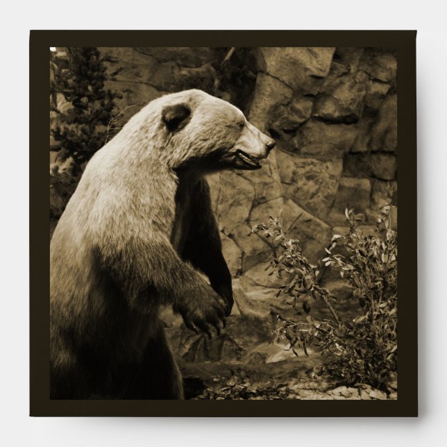 Proud Bear Envelopes (Front)