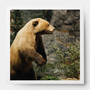 Proud Bear Envelopes