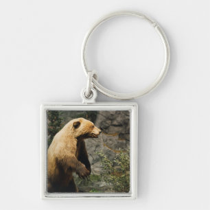 Proud Bear Key Ring