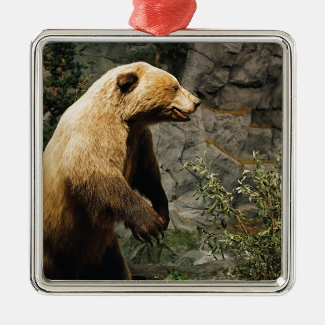 Proud Bear Metal Tree Decoration (Front)