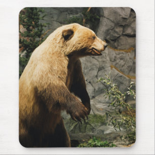 Proud Bear Mouse Pad