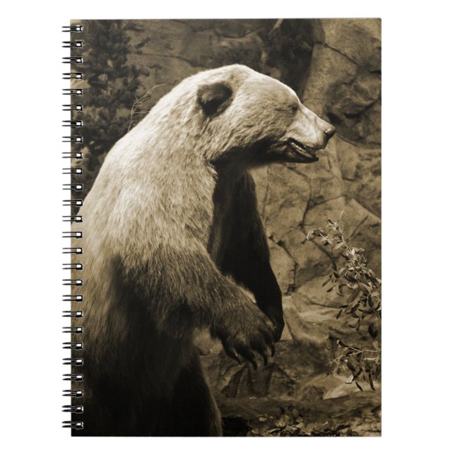 Proud Bear Notebook (Front)