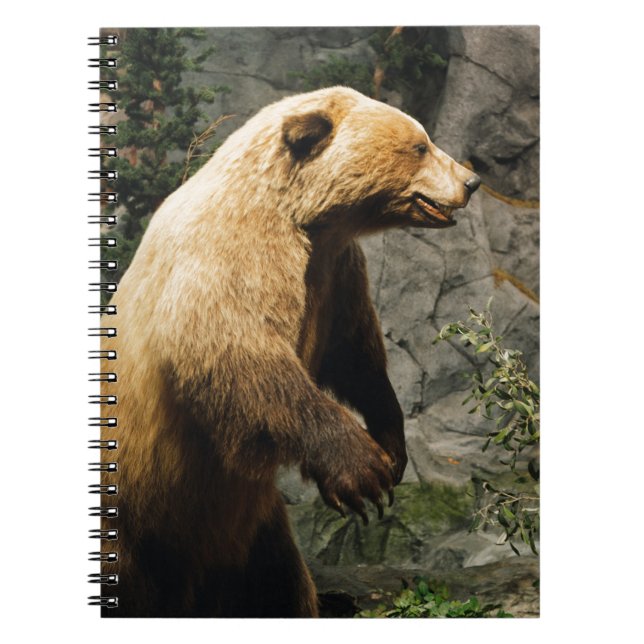 Proud Bear Notebook (Front)