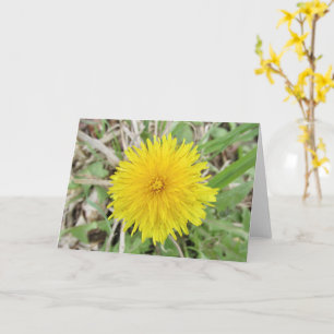 Proud Dandelion Flower. Card